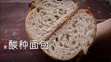 酸种面包 蕾丝组织 Sourdough Bread Lacy Crumb