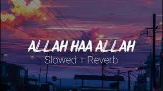 Malana Maulan Siwallah (SLOWED REVERB) - Acoustic