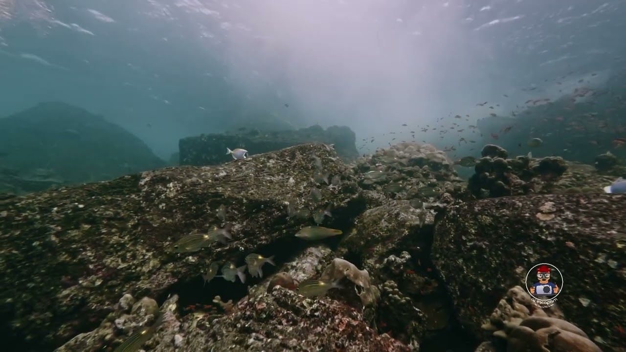 UNDERWATER SCUBA DIVING  - FLICKER OF LIGHT - PULAU WEH, INDONESIA