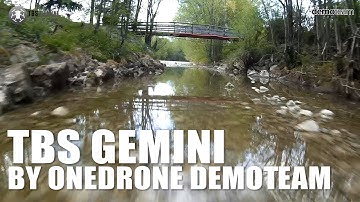 TBS GEMINI by OneDrone DemoTeam