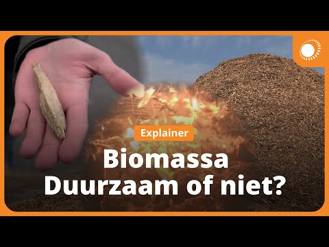 Video: Waarom is biomassa slecht?