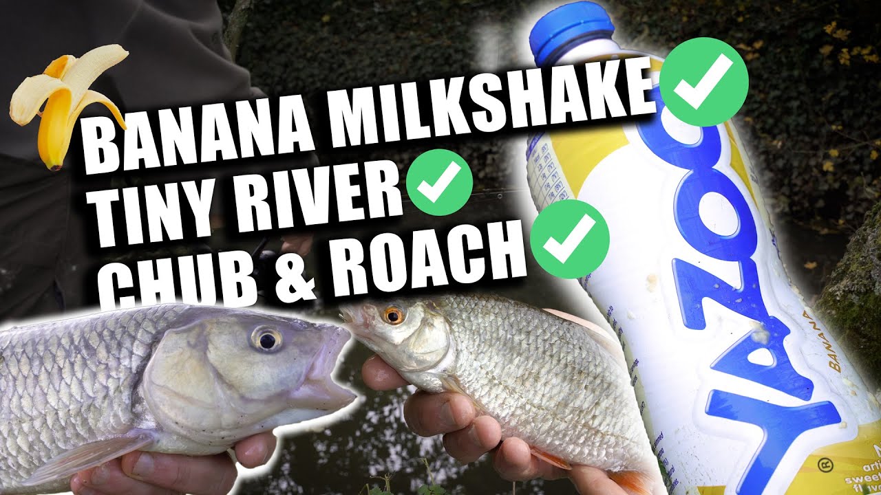 Хитрость с банановым хлебом для рыбалки на малых реках — поймайте БОЛЬШЕ голавля и плотвы!
