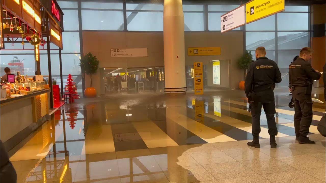 Шереметьево терминал в. Аэропорт шереметьево терминал д внутри. Аэропорт шереметьево 2004 год. Терминал в шереметьево в очереди. Шереметьево толпа.