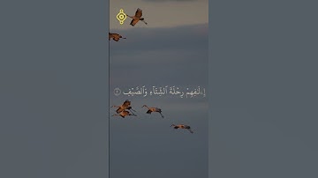 🌿 سورة قريش بصوت القارئ الشيخ فارس عباد | تلاوة خاشعة ومؤثرة