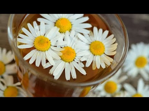 Video: Vad är Det Perfekta Sättet Att Brygga En Utsökt Drink? Secrets Of Correct Tea Brewing