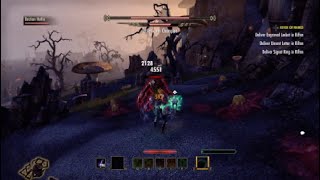 Eso Fighting The Stryfworm Boss
