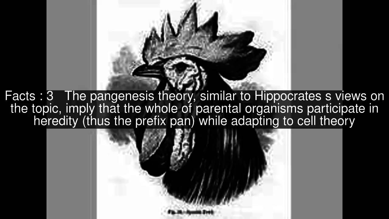 Pangenesis Top  #6 Facts