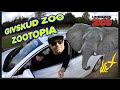 GIVSKUD ZOO ZOOTOPIA | zu Besuch bei den Elefanten | Zoo- und Safaripark in Dänemark Teil 1/2