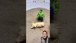 B4bi Dibawa Kabur  Rrayyanstories