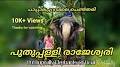 Video for Puthuppally Elephants Official