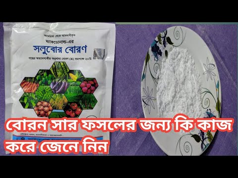 ভিডিও: বোরন কি বোরাক্সের মতো?