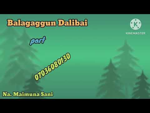 BALAGAGGUN DALIBAI Part 23 WANI MALAMI NE BAIDA AIKI SAI SHIGA KASAN DALIBANSA