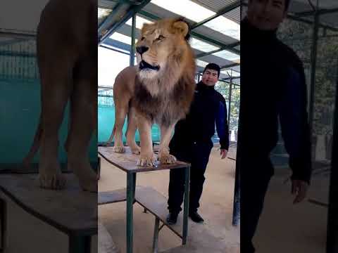Zoo de Luján