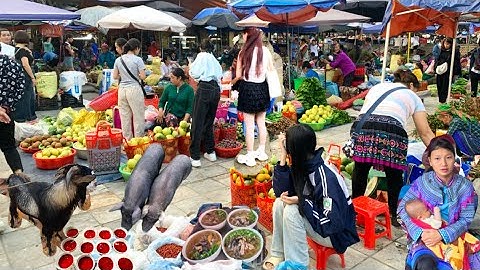 Ẩm Thực Chợ Quê Toàn Đồ Lạ & Bán Đồ Rừng Quý / dân vùng cao ,