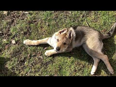 Video: Atklājiet Stilīgāko Jauno Ilgtspējīgās Kosmētikas Zīmolu