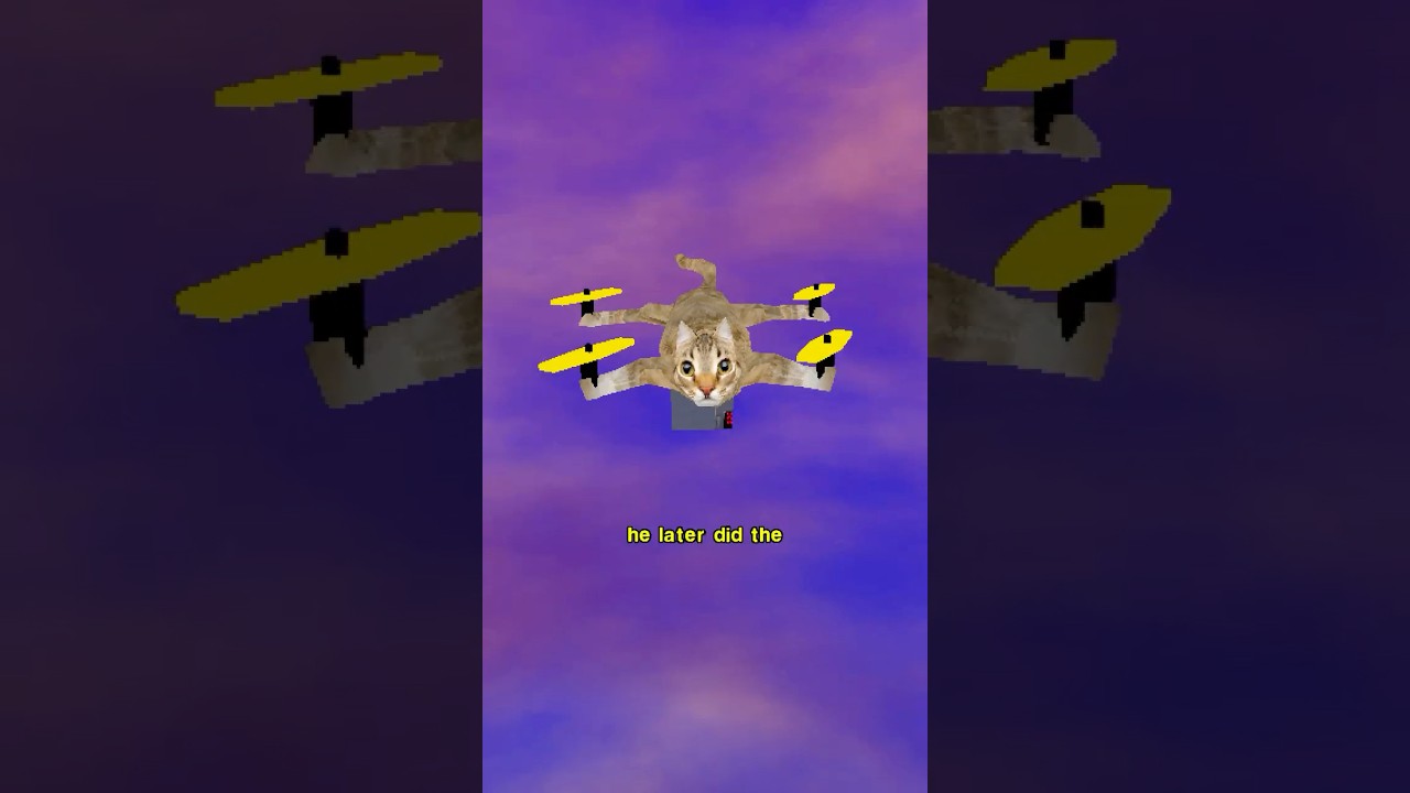 Кэткоптер (Летающий Кот)