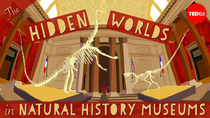 The hidden worlds within natural history museums -...