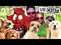 What the dog doing??? (VRChat Funny Moments)