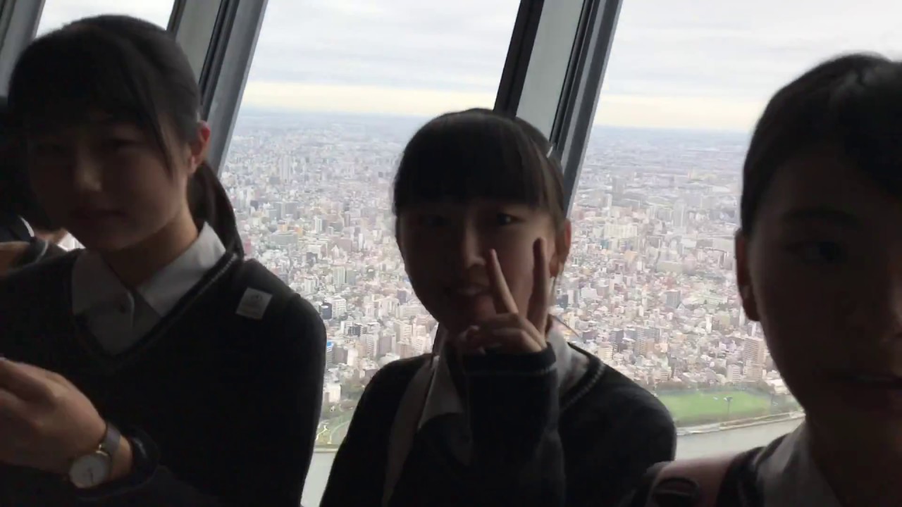 Amusement Adventure World “Tokyo Sky Tree Tower”