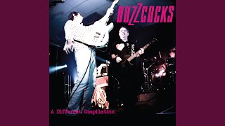 Download Lagu Ever Fallen in Love (with Someone You Shouldn't've) ? MP3