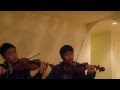 All I Want For Christmas Is You (Violin Duet) Mashup