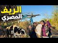 قضينا يوم كامل في الغيط حياة فلاح 🧑‍🌾😂♥️