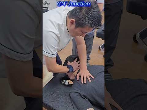 상부 흉추 횡돌기 접촉 CT junction adjustment #카이로프랙틱 #chiropractic #카이로프랙틱교육 #도수치료 #상부흉추 #manipulation #<strong>척추교정</strong>