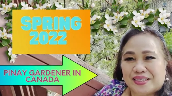 Spring 2022: Arlene Vasquez