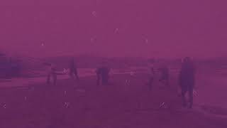 Vine #4