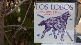 Los Lobos ‎– Don&#39;t Worry Baby [12&quot; 45RPM] 1984