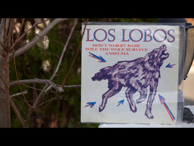 Los Lobos - Don't Worry Baby