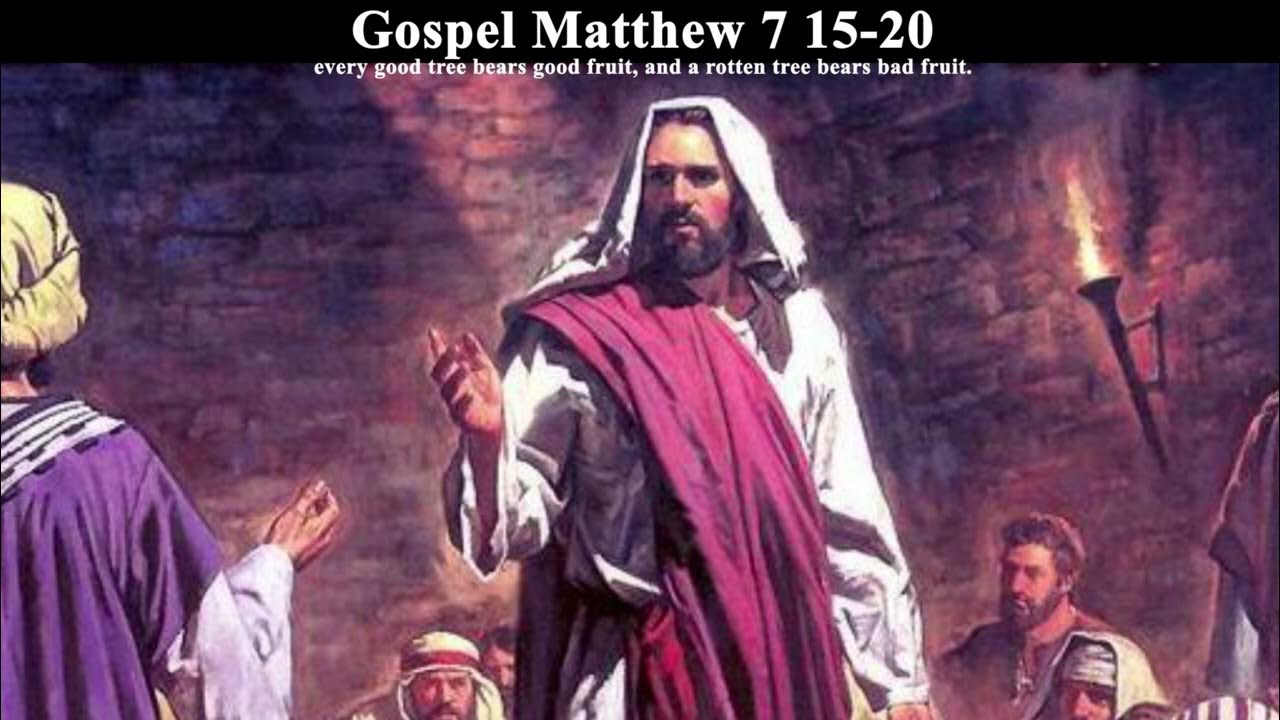 gospel-reflection-matthew-7-15-20-28-june-2023-youtube