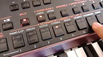 Hướng dẫn load nguyên set hoặc load từng phần dữ liệu vào Korg pa1000