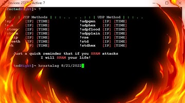 NFO Downed! | Botnet | Power Proof | Contact in Description | Educational Purposes Only