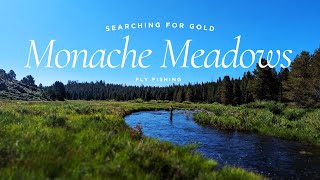 Monache Meadows Fly Fishing - Searching For Golden Trout by Road and Reel 2,100 views 8 months ago 16 minutes