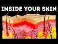 A Journey Through Your Skin