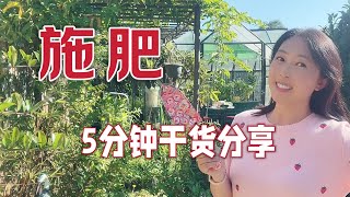 5分钟学会施肥｜蔬菜、树、花卉的施肥，纯干货分享总结，赶快收藏！Gardening fertilisation .  Vegetables, trees,flowers