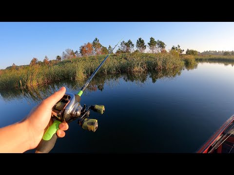 I Found the MOST UNEXPECTED HONEY HOLE in the Quarry (BASS Fishing)