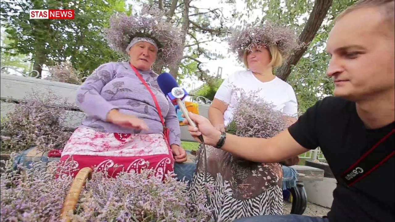 Ебун трава фото