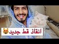 هذا القط كانت حالته صعبه نفسياً وجسدياً والحين شوفوا كيف صار يخقق 😻 / انقاذ قط | Mohamed Vlog