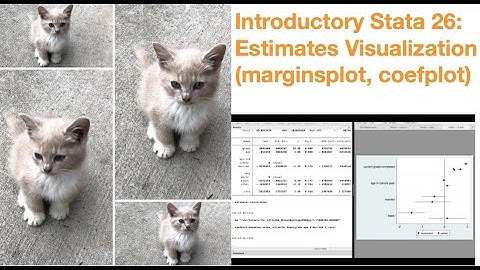 Introductory Stata 26: Estimates Visualization (marginsplot, coefplot)