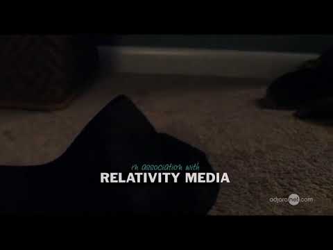 ამერიკული ნამცხვარი ყველა ერთად - კადრი ფილმიდან