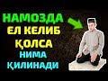 НАМОЗДА ЕЛ КЕЛИБ ҚОЛСА НИМА ҚИЛИНАДИ