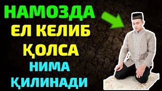 НАМОЗДА ЕЛ КЕЛИБ ҚОЛСА НИМА ҚИЛИНАДИ