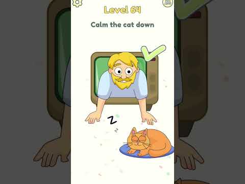 Calm The Cate Down Youtube Https G Co Payinvite Ar6lf45