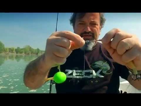 охота и рыбалка телеканал сомы европы