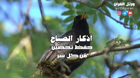 أذكار الصباح | حفظ وتحصين من كل شر ومكروه ⚘️
