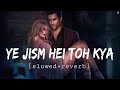 Yeh jism hai toh kya slowedreverb ali azmat  tseries relaxlocations   mixlofimusic 06