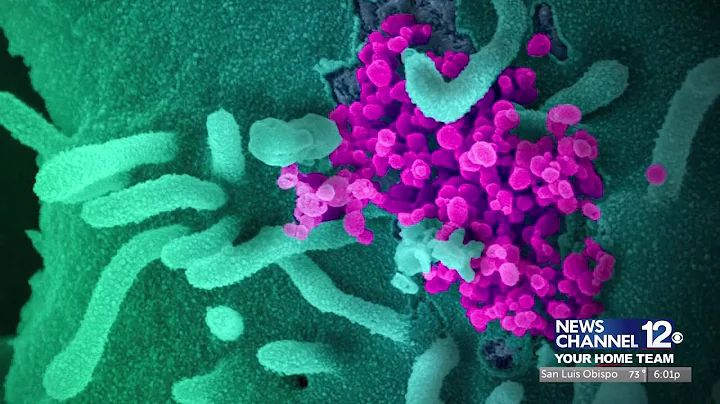 Central Coast healthcare workers rally against California vaccine mandate LIVE PKG