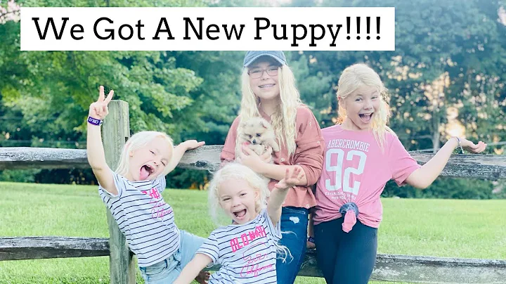 We Got A New Puppy- The Detty Sisters